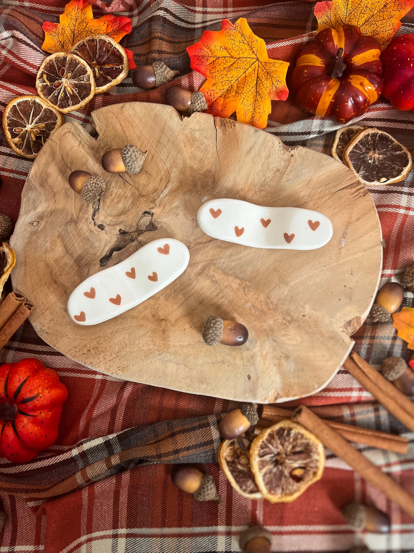 Bague de lecture 🍄🟫