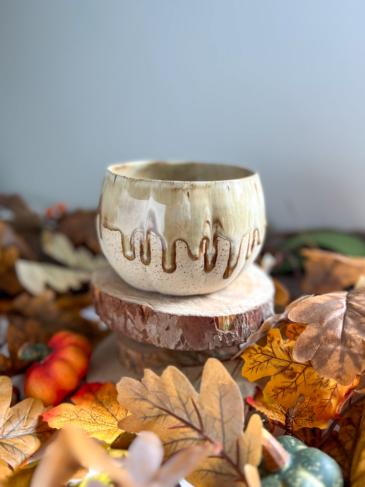 Bol Dégradé 🍂