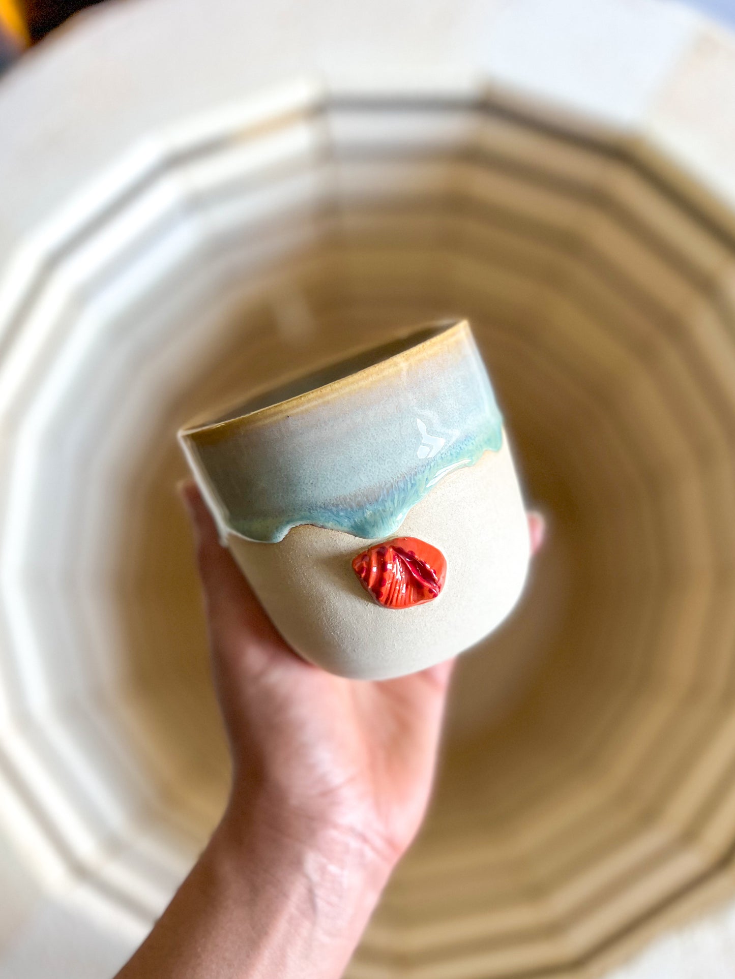 Tasse Coquillage 🐚
