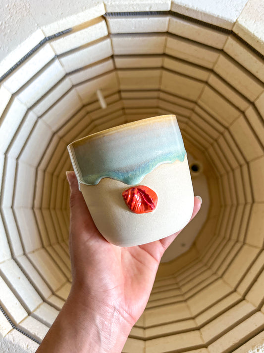 Tasse Coquillage 🐚