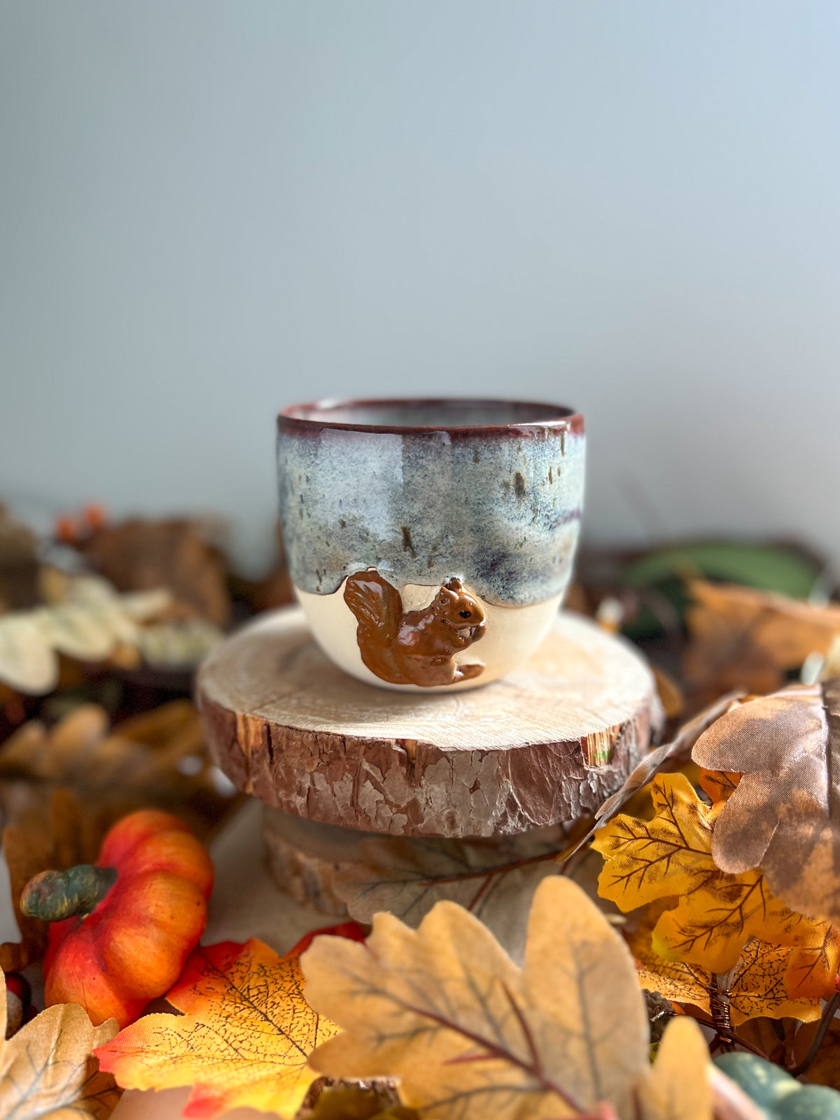 Tasse Écureuil 🐿️
