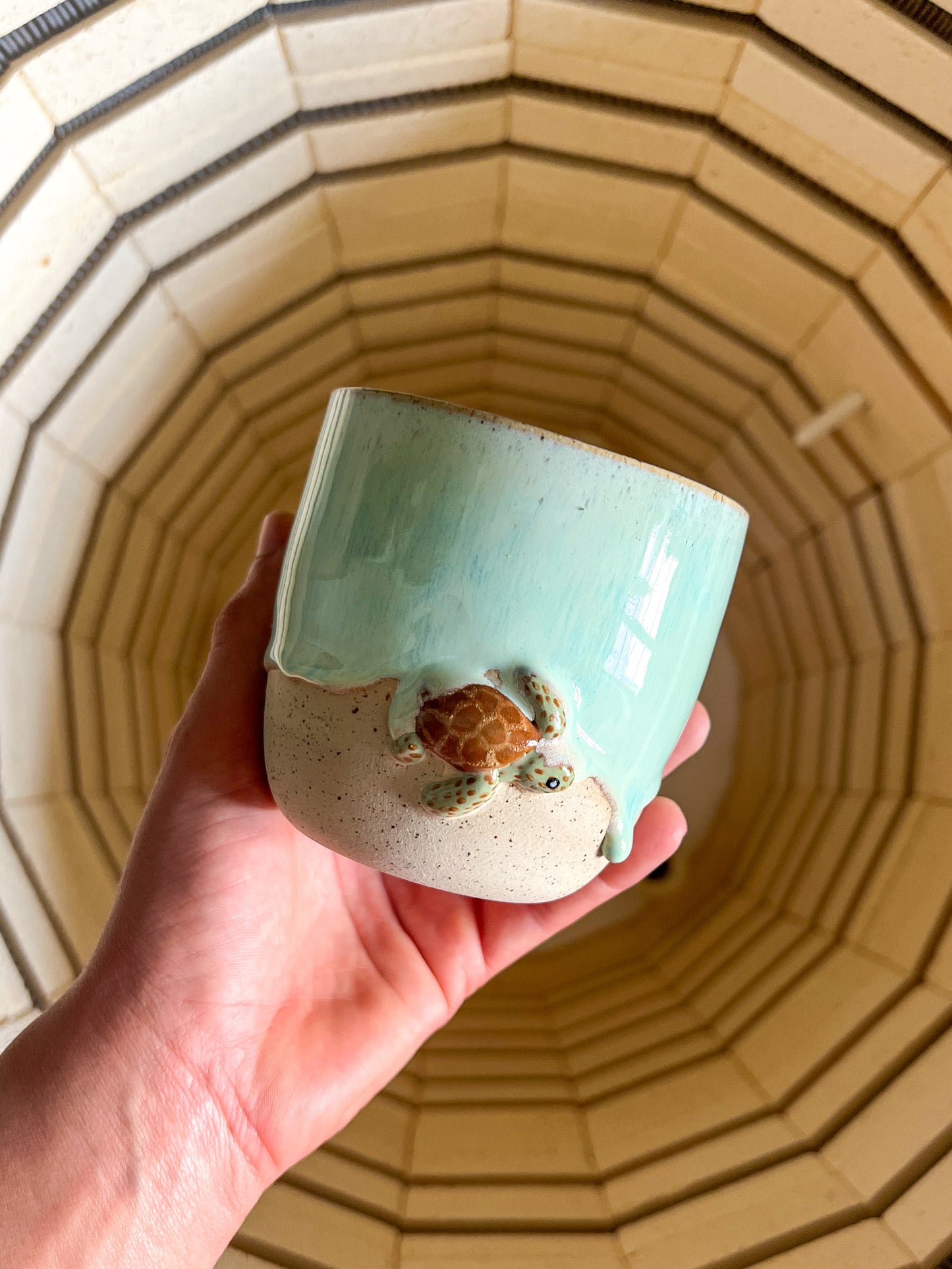 Tasse Tortue 🐢