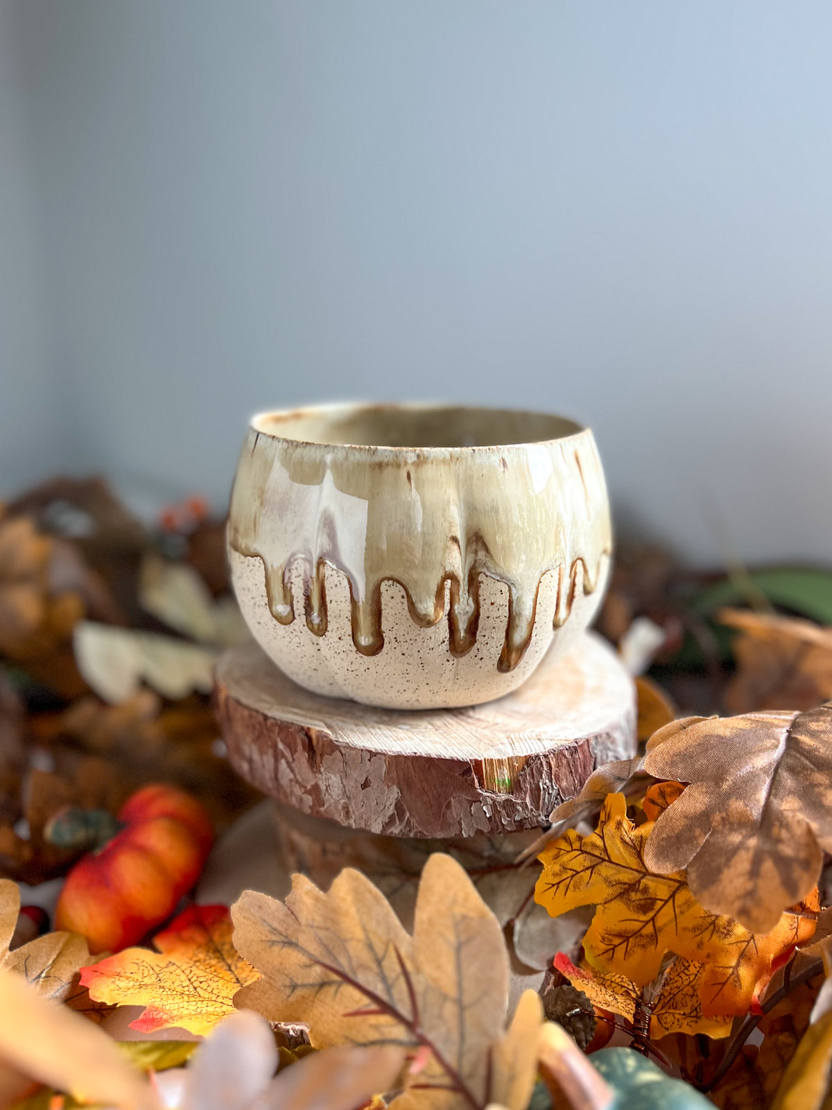 Bol Dégradé 🍂