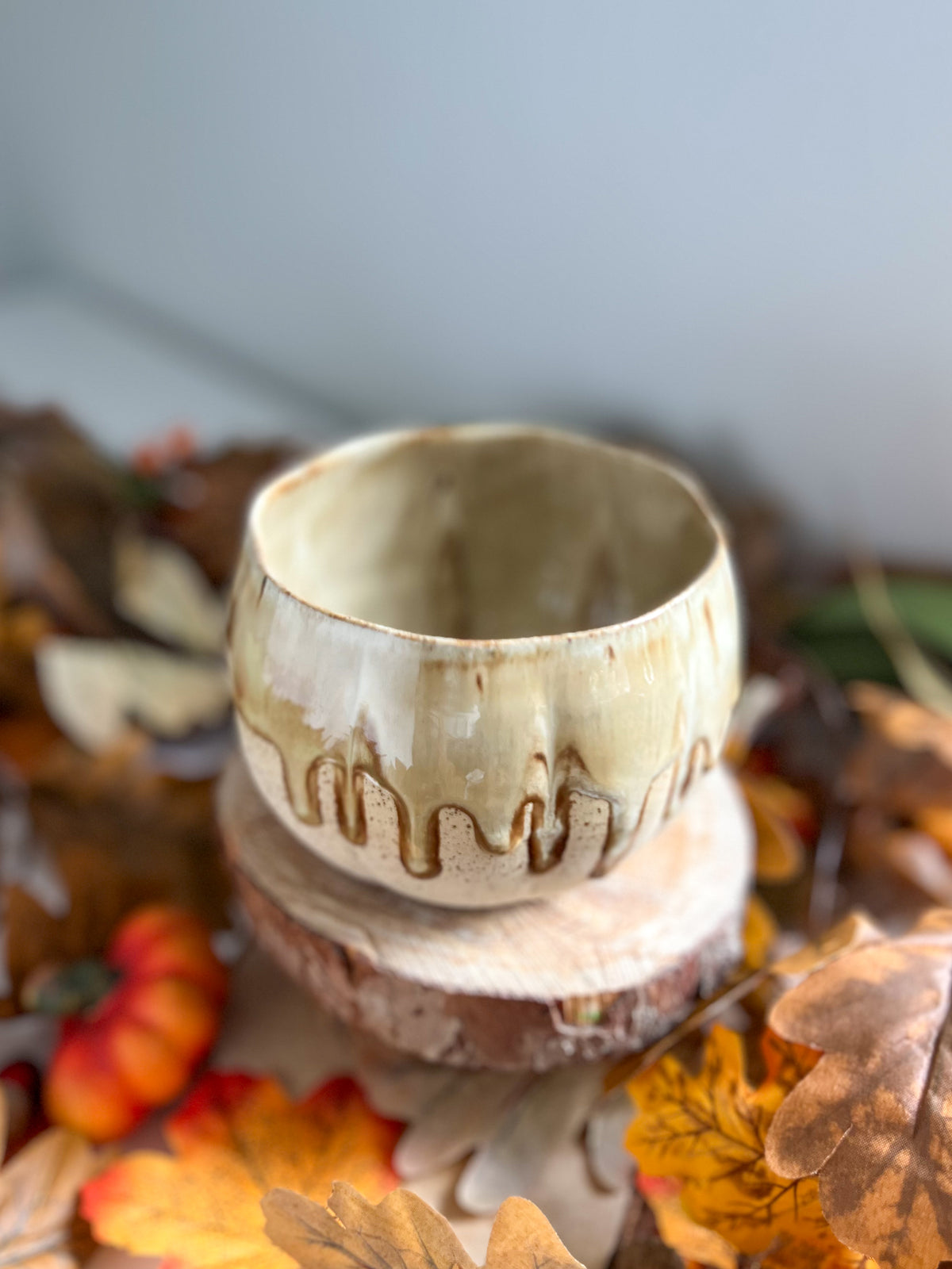 Bol Dégradé 🍂