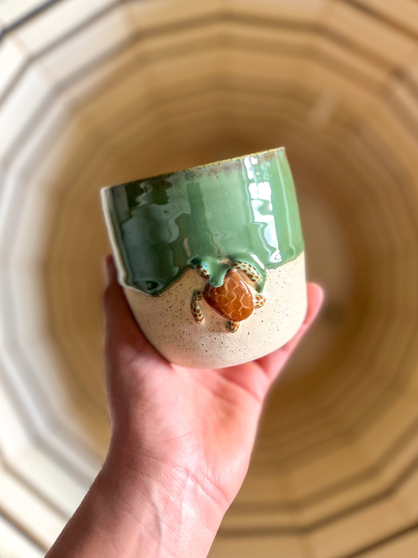 Tasse tortue 🐢