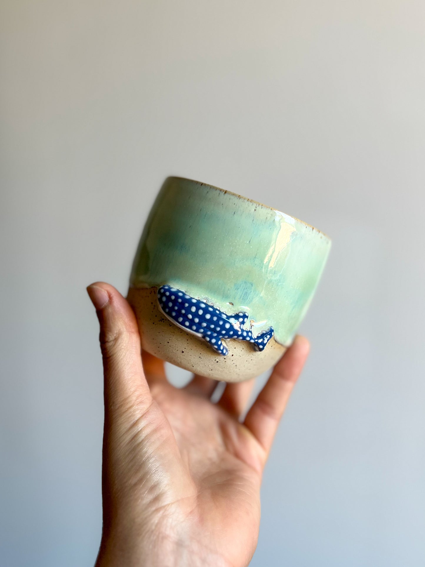Tasse Requin Baleine 🐳
