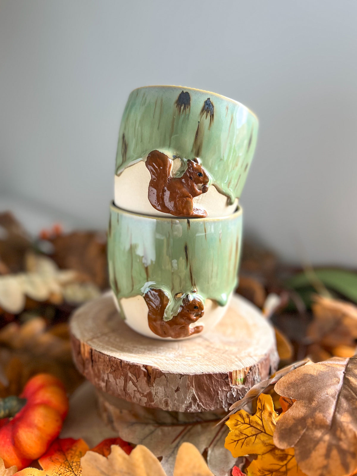 Tasse Écureuil 🐿️