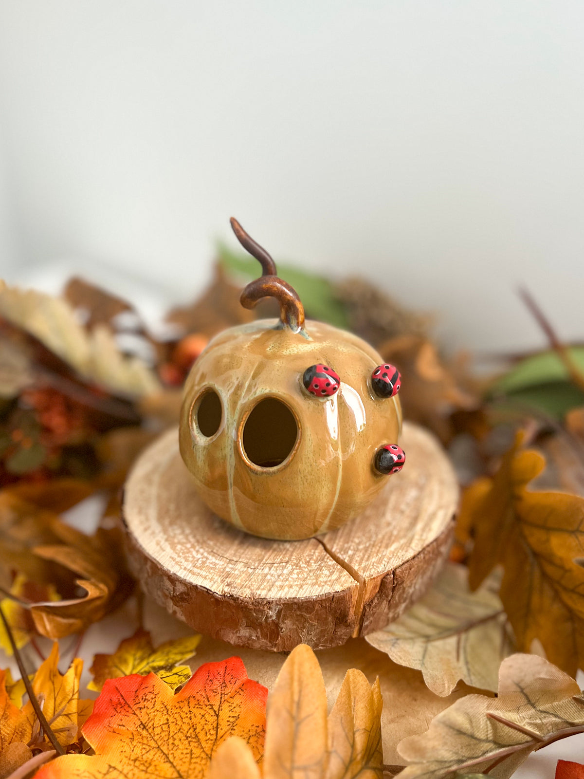 Photophore Citrouille 🐞